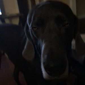 Meet your Posher, Cynthia